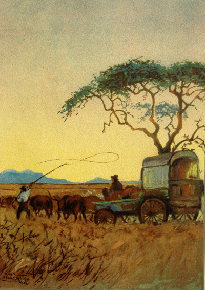 Bild Ochsenwagen im Sonnenuntergang von Uli Aschenborn